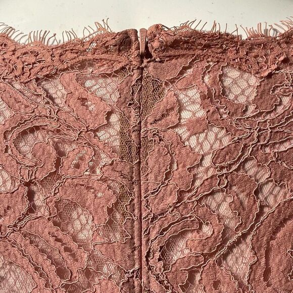 Tadashi Shoji blush Evening Dress Gown Cocktail Wedding Lace Lined Pink Size 12 - Picture 9 of 14